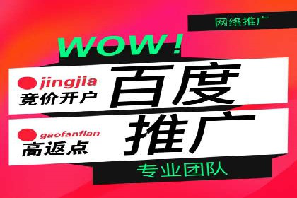 成功案例揭秘：sem代运营公司的策略与技巧